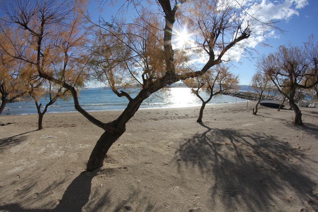 Villa Mandalinic Omis Bagian luar foto